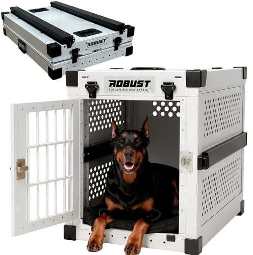 ROBUST Hundetransportbox Auto Faltbar für Alle Hunderassen – Leichte Hundebox aus Aluminium mit Verstärkten Ecken | Tragetasche Hund Kofferraum für Zuhause, Auto, Ausflug und Flugreisen (Blanco, XXL)