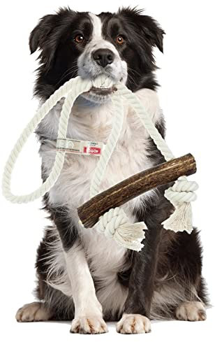 4DOGS ORIGINAL Hundeseilspielzeug | Hundespielzeug | Beißspielzeug für Welpen | Kombiniert mit natürlichem Kaugeweih | 100% natürlich glutenfrei | GVO-frei | Hundespielzeug - 1 Stück Knoten - XXL