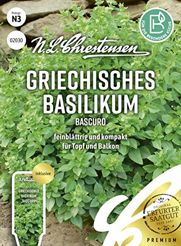 Griechisches Basilikum Bascuro Samen, Saatgut