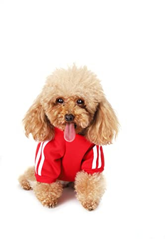 Puppy Hoodies - Dog & Cat Apparel, Small to Large Sizes, Fleece Sweatshirt, Winter Clothes