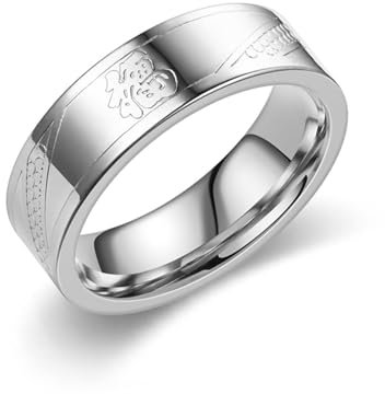 Edelstahl Ringe 6mm, Männer Ringe Silber mit Chinese Fu Damen Herren Schmuck für Geburtstag Hochzeit Größe 54 (17.2)