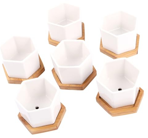 JOINPAYA Juego de 12 Macetas Mini para Suculentas de Cerámica Color Blanco