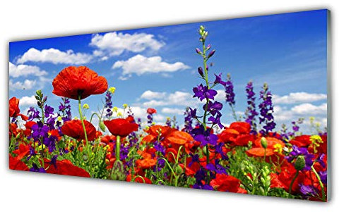 Tulup Acrylic Glass Print 125x50cm Wall Art - Wall Picture Plastic Acrylic Glass - Tulips Nature