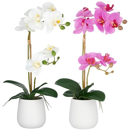 CREATIV green 2er Set künstliche Orchidee Real Touch 50cm lila & weiß im Keramiktopf 9x11cm I Schmetterlingsorchideen wie echt im Keramiktopf I Pflegeleichte & täuschend echte Kunstblumen