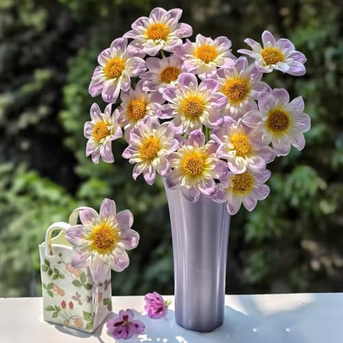 tuberi di dalia adatto alla coltivazione giardino primaverili regalare 3pcs