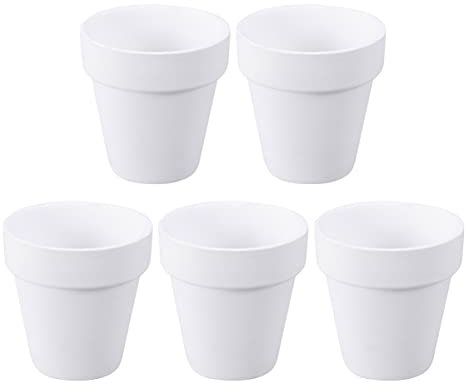 Holibanna 5 Piezas Macetas De Terracota Maceta Terracota Macetas De Barro para Plantas Mini Macetas Pequeñas Macetas De Macetas De Interior Maceteros Cerámica Maceta De Orquídeas