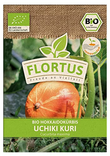 FLORTUS BIO Hokkaidokürbis Uchiki Kuri | Gemüsesamen | Kürbissamen | Hokkaidokürbissamen | Samen zur Anzucht für Garten, Balkon, Küche & Fensterbank