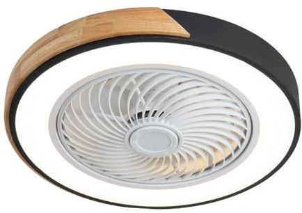 Fan Light, Low Profile Ceiling Fans with Lights and Remote, Reversible, Dimmable, Noiseless for Bedroom, Indoor