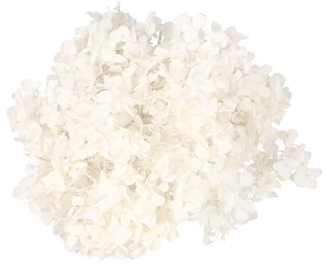 PRETYZOOM Preservadas Paquete De Secos Decoración DIY para Manualidades Adornos para Uñas