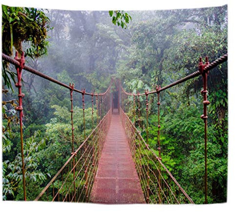 A.Monamour Wanddekor Wandbild Vorhang Wandteppiche Rote Hängebrücke Im Regenwald Wald Wald Natur Landschaft Bild Druck Tuch Stoff Wandbehang Tapisserie Wandkunst Dekore Tischdecke 102x153cm