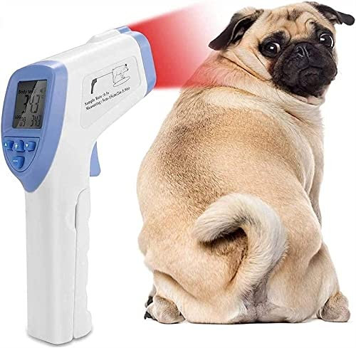 Thermomètre électronique pour chien, animal de compagnie, thermomètre numérique haute précision, éhermomètre pour chiens, chevaux, chats, cochons, moutons wdj9.27