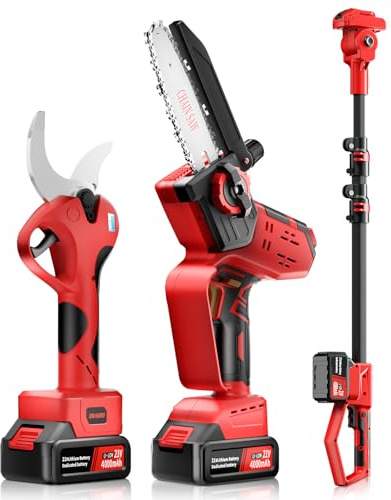 Dragro 2-in-1 Electric Pruning Shears & 6in Cordless mini Chainsaw with Oil System,Cordless Pruner with 6 Ft High Reach Extension Pole,2Pcs 4000mAh Batteries,LCD Display (2 Blades&2 Chains)