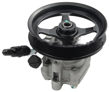 Pompa servosterzo 25900769 Compatibile per Cadillac SRX 3.6L V6 2004-2009 25754247