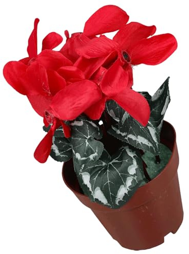 Levemolo Bonsai Finto da Interno Vaso Rosso in Plastica e Tessuto di Seta, Decorazione Pratica e Realistica per Soggiorno, Ufficio e Ville