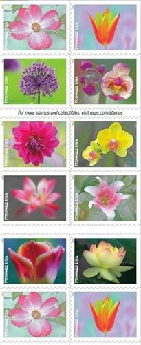 USPS Garden Beauty Forever Postage Stamps Book of 20 self-stick First Class Wedding Celebration Anniversary Flower Party (20 Stamps)