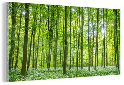 MuchoWow Glasbild Glasfoto Wandbild Bilder Deko 80x40 cm Wald - Bäume - Grün
