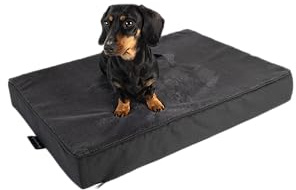 MyBestBuddy Hundekissen Premium orthopädisch mit 8 cm Vollschaum-Kern grau 60x40 cm S, Hundematte mit Stoffbezug, 40°C waschbar, allergikerfreundlich - Hundebett für kleine Hunde, 60 x 40 cm