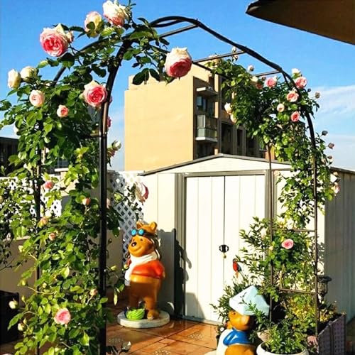 Gartenbogen-Spalier aus Metall für den Außenbereich, schwarzes Pergola-Spalier Laubenbogen Stahlrahmen robust Rosenbögen Weinreben Torbogen für Kletterpflanzen gewölbter Blumenständer(Size:350x220x40C