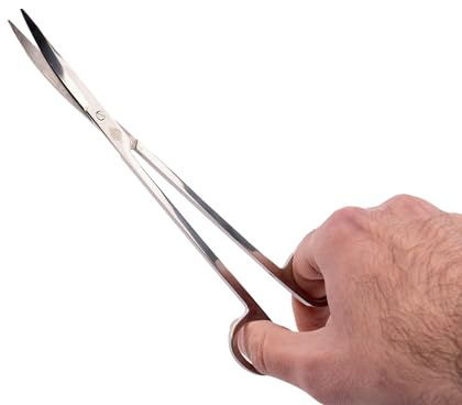 NatureHolic Scaping Scissors Curved Silver | 22 cm Aquascaping Schere | Gebogene Spitze | Kurze Pflanzenschere für Aquarium Pflanzen | Rostfreier Edelstahl | Präziser Rückschnitt