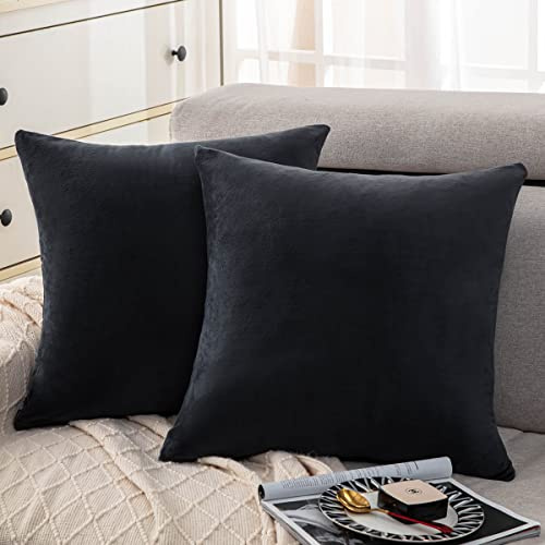 Soifox 2er Set Kissenbezug 40x40 Schwarz Anthrazit Samt Zierkissenbezüge Weich Flauschig Kuschelig Kissenbezüge Dekorative Deko Kissen Sofakissen Lendenkissen Wurfkissenbezug Schlafzimmer Kissenhülle
