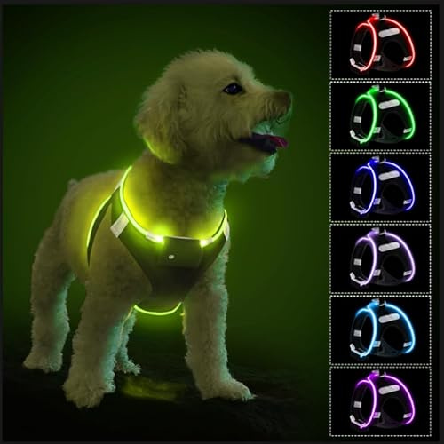 PcEoTllar Leuchtgeschirr LED, aufladbar & reflektierend für Hunde Schwarz,M | Hundegeschirr leuchtend, beleuchtetes Leuchtgeschirr für Welpe, kleine & mittlere Hunde. Atmungsaktiv, 9 Modi.