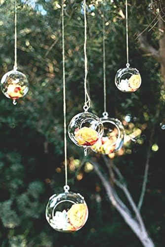 Juego De 12 Globos De Vidrio Candelita De 80 Mm Candelita 80 Mm Candelita 80 Mm Candelita 80 Mm Candelita 8