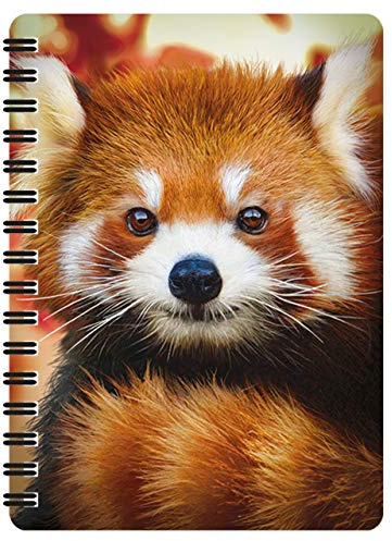 3D LiveLife Anteckningsblock - Baby Panda Roux från Deluxebase. Spiral A6 Art 3D-objektiv anteckningsbok med tomma sidor i återvunnet papper. Licensierade illustrationer av den berömda konstnären