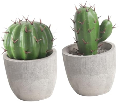 HIAKDOFT Decorazione Di Cactus Finti e Mini Bonsai Ornament in Vaso, Bonsai Di Cactus Simulato Piccolo e Compatto, Per Ufficio e Soggiorno – Set Da 2 Pezzi