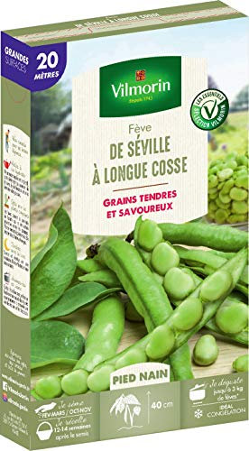 Vilmorin Fève de Séville a Longue cosse Boite série20m, Vert