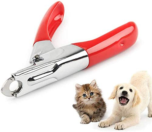 Dog Claw Clipper Guillotine Style Dog Nail Trimmers Safe Cat Claw Clippers Cutter Stainless Steel Pet Toenail Clippers for Cats Dogs (Color : Red)
