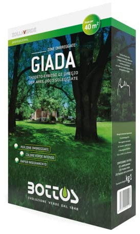 Semente per Prato 'Giada' per Zona ombreggiata 1KG - Zollaverde Bottos