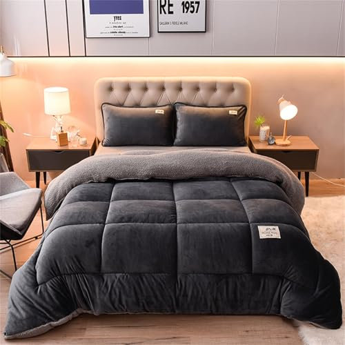 AIMENJOY Couette d'hiver en Coton, Couette en Velours Double Face, Épaissir Cachemire Courtepointe, Couverture Unie, Couette Cadeau Chaude et épaisse (Dark Grey,220x240cm - 5KG)