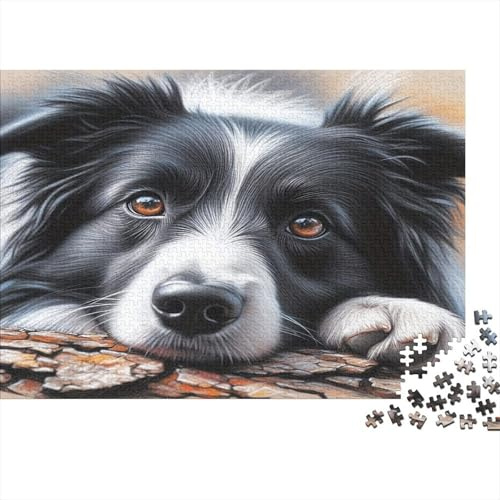 Portrait Border Collie Puzzle 1000 Pièces en Carton De Qualité Supérieure, Grand Puzzle défi en Solitaire pour La Décoration Murale DIY, pour Les Femmes, Cadeaux pour Les Hommes 70x50cm/1000pcs