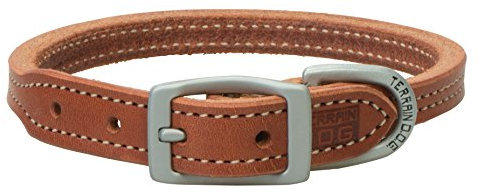 Terrain D.O.G. Buttered Harness Leather Hybrid Dog Collar