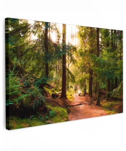 MuchoWow© Bild auf Leinwand Groß XXL Schlafzimmer Bilder Wand Deko - Natur | 120x80 cm - Wohnzimmer Modern Wanddeko Bilderwand Geschenk Wandbild Wald - Weg - Bäume - Grün - Sonne