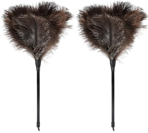 FeelfunFeather Lot de 2 mini plumeaux en plumes d'autruche naturelles avec poignée en plastique réutilisables pour fournitures de nettoyage pour la maison, la voiture, le bureau - 38 cm