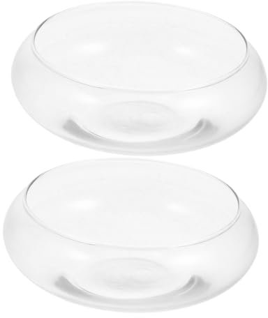 RORPOIR 2pcs Glass Succulent Terrarium Hydroponic Flower Pot Desktop Flower Vase for Hydroponic Potted Plant