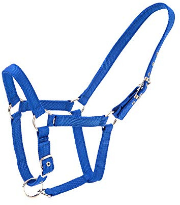 Merauno® Halterset Trendy Nylon Pferd Halfter Silber Verstellbare Schnalle im Nacken und in der Nase Hochwertiges Polyesterband für Pony Vollblut Warmblut (Pony, Blau)
