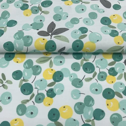 EDGEAM Baumwollstoff Meterware 160 cm breit - Stoffe zum Nähen (50cm, 100cm, 200cm) - Handwerken Nähen Stoff - Dekostoff - Nähmaterial (Grün 01#, 50x160cm)