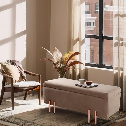 [en.casa] Ottomana con Seduta Imbottita Cassapanca Fondoletto Poggiapiedi per Camera da Letto Panca Contenitore per Ingresso Soggiorno 100x40x42 cm Velluto Marrone