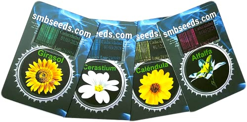 Graines de tournesol.