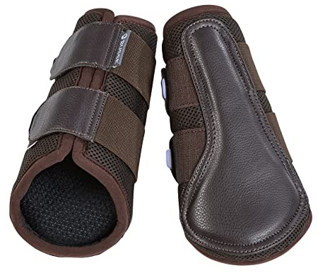 Busse
