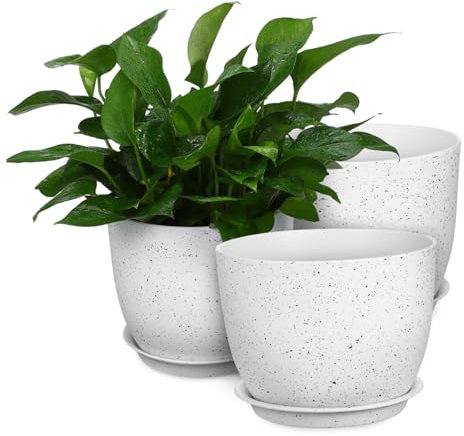 Toddmomy 3 STK Blumentopf aus Granitimitat Töpfe mit Ablauflöchern Töpfe für Blumen Pflanzgefäß orchideentöpfe orchideen Topf Pflanze Kindergarten Kleiner Kaktus Sämlingstopf 3-teiliges Set