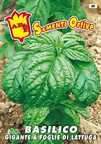Basilico Gigante Foglia di Lattuga, semi in busta