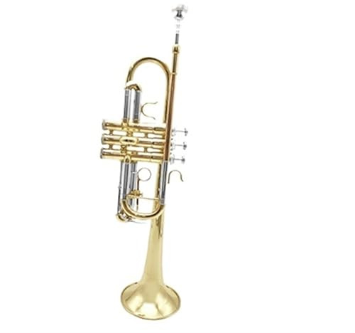 Trompete Dreiklangtrompete Im Hohen C Für Erwachsene Anfänger Für Spielen Von Blechblasinstrumenten