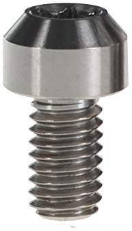 Ruifu M6x10 15 20 25 30 35 40 45 50 60 65 mm Torx T30 Kappe Schraube Titan Gr5 Maschinenschraube, Titan, M6x10mm