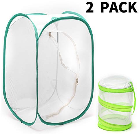 Insect and Butterfly Habitat Cage, Terrarium with Pop-up Design, for Nature Observation, Butterflies and Insects Raising, etc. 23.6 Inches Tall, with A Mini Habitat Cage (Pack of 2)