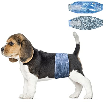 Dono Pañales Desechables para Perros machos con incontinencia urinaria,X-pequeños,XS,S,M,L,24 Unidades