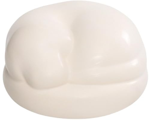 Duuclume Urna conmemorativa de cremación para mascotas, recipiente de cerámica personalizado para cenizas de mascotas, para gatos, perros, tarro de recuerdo para recuerdo (perro)