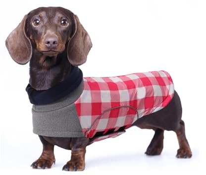 babepet Wasserdichter Wintermantel für kleine Hunde, Dackel-Colthes, Miniatur-Dackel-Jacke, Hundemantel mit Geschirrloch, Haustierkleidung, ideal zum Spazierengehen, Wandern, Camping, Größe L